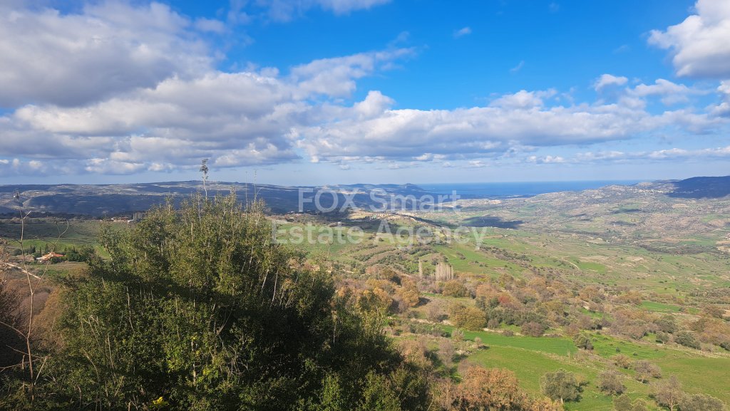 House, For Rent, Paphos, Lasa