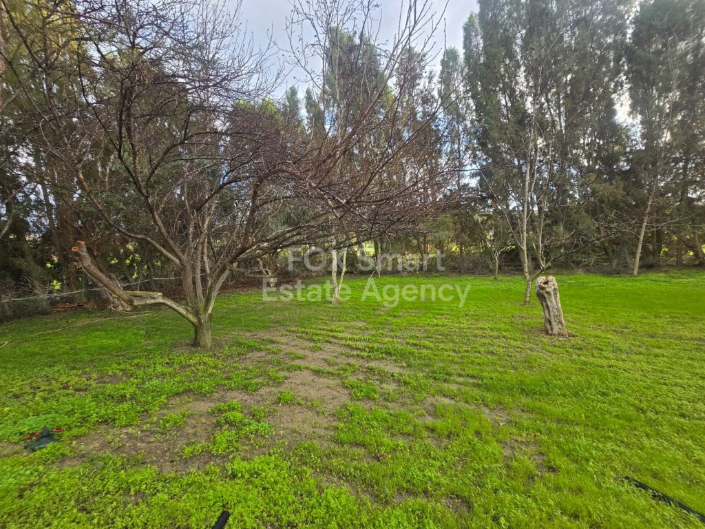 House, For Rent, Limassol, Pyrgos