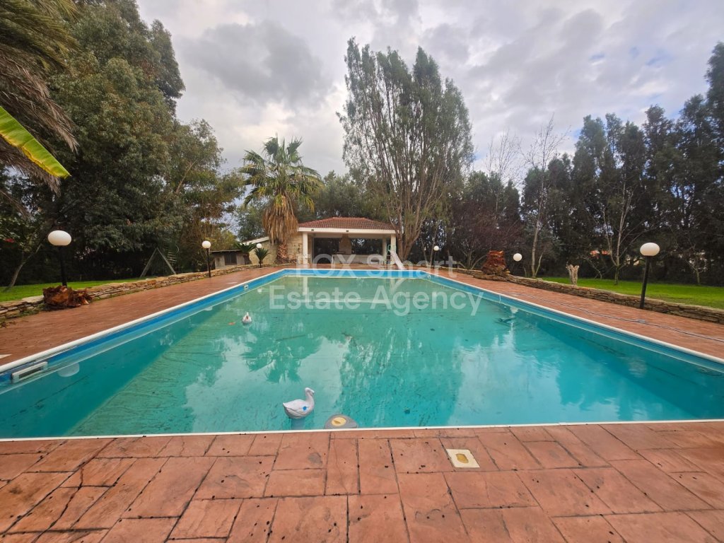 House, For Rent, Limassol, Pyrgos