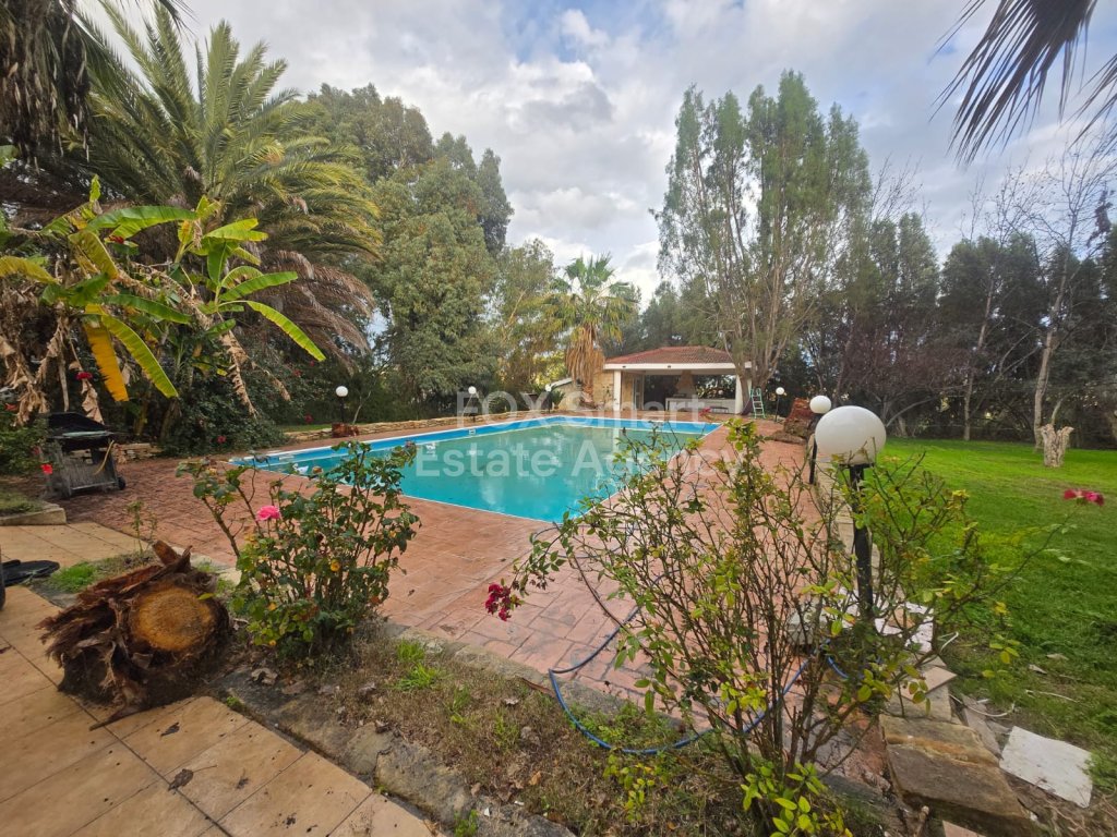 House, For Rent, Limassol, Pyrgos