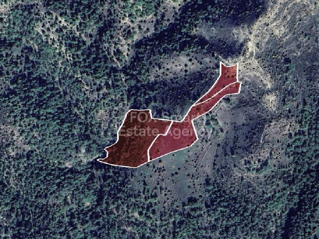 Land in Dora - view 1