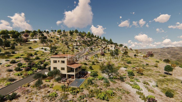 Land in Pegeia - Image 4