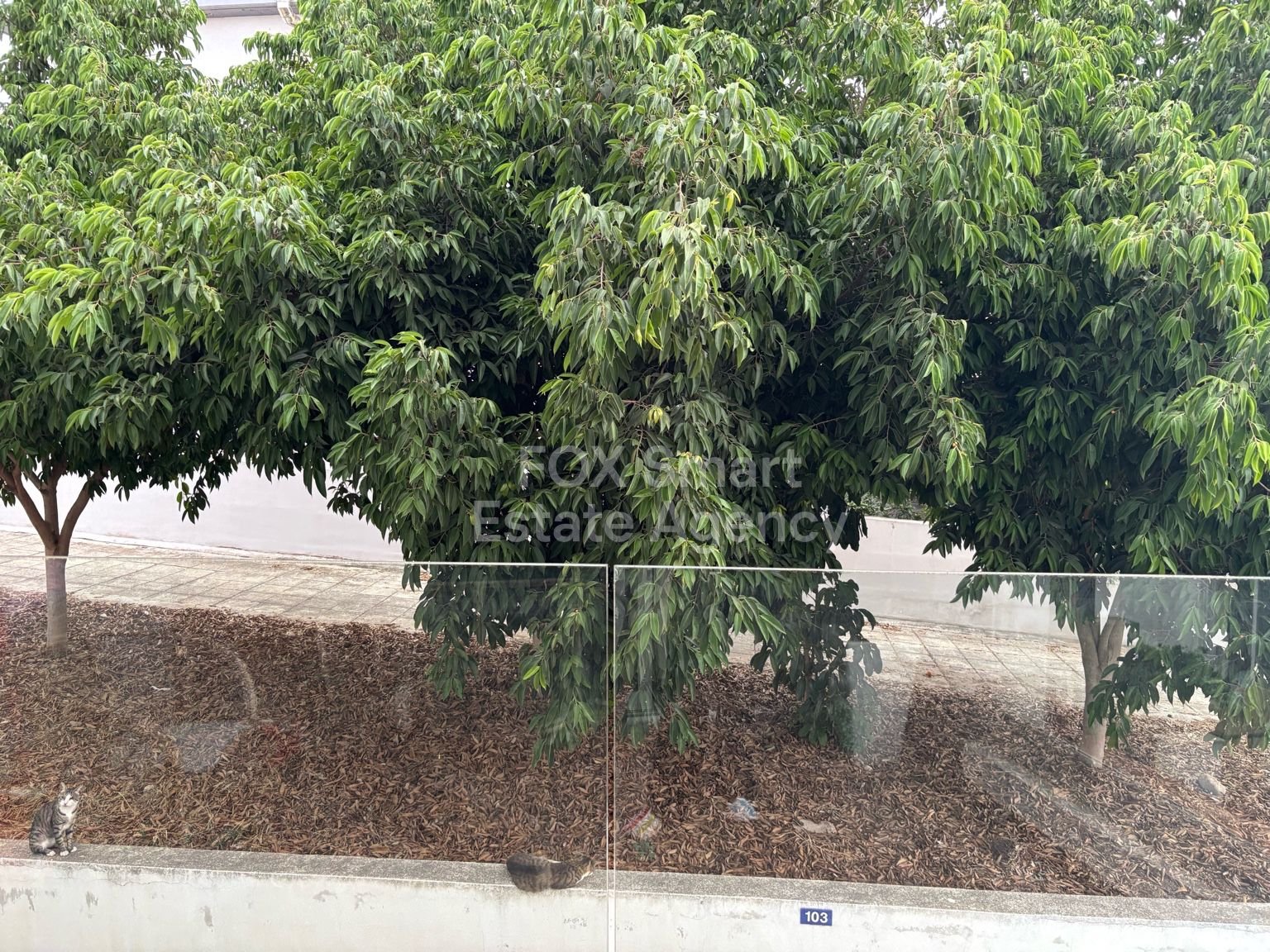 Fully furnished 2-bedroom apart. for rent in Archangelos