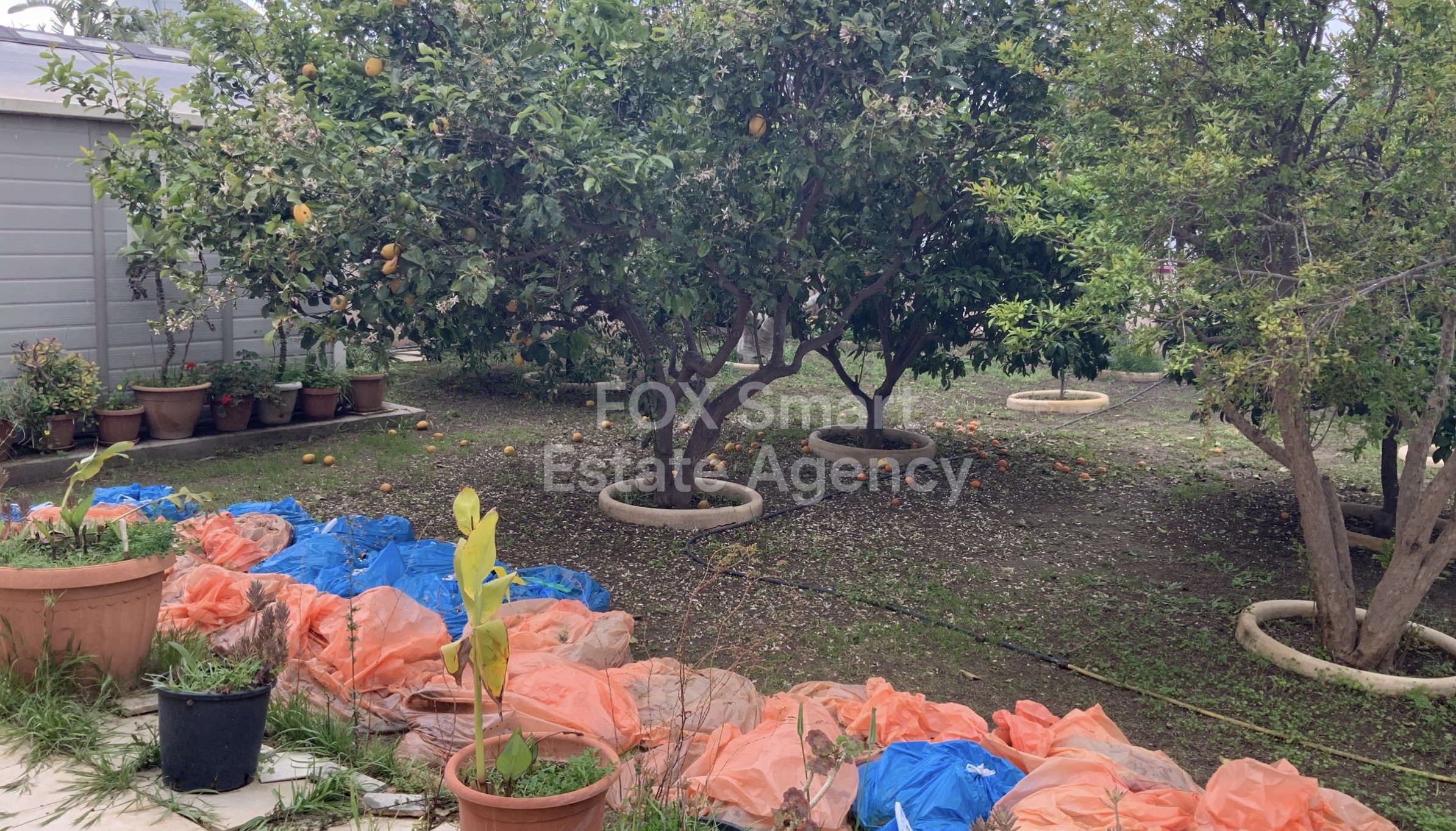 Property 29