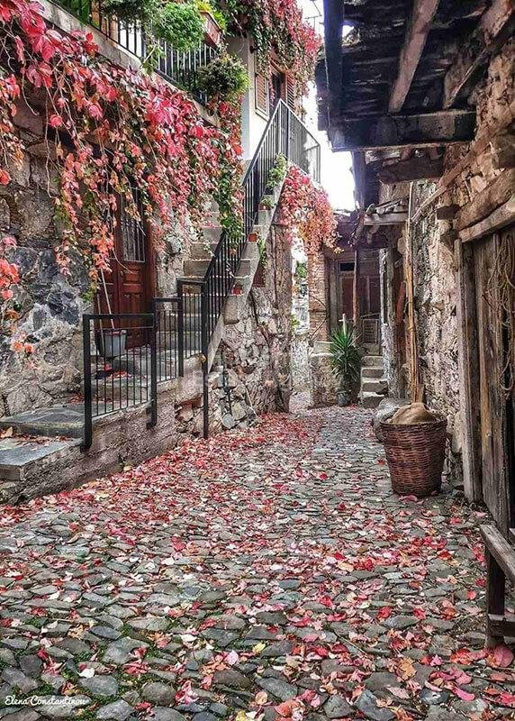 Land in Askas - Image 2