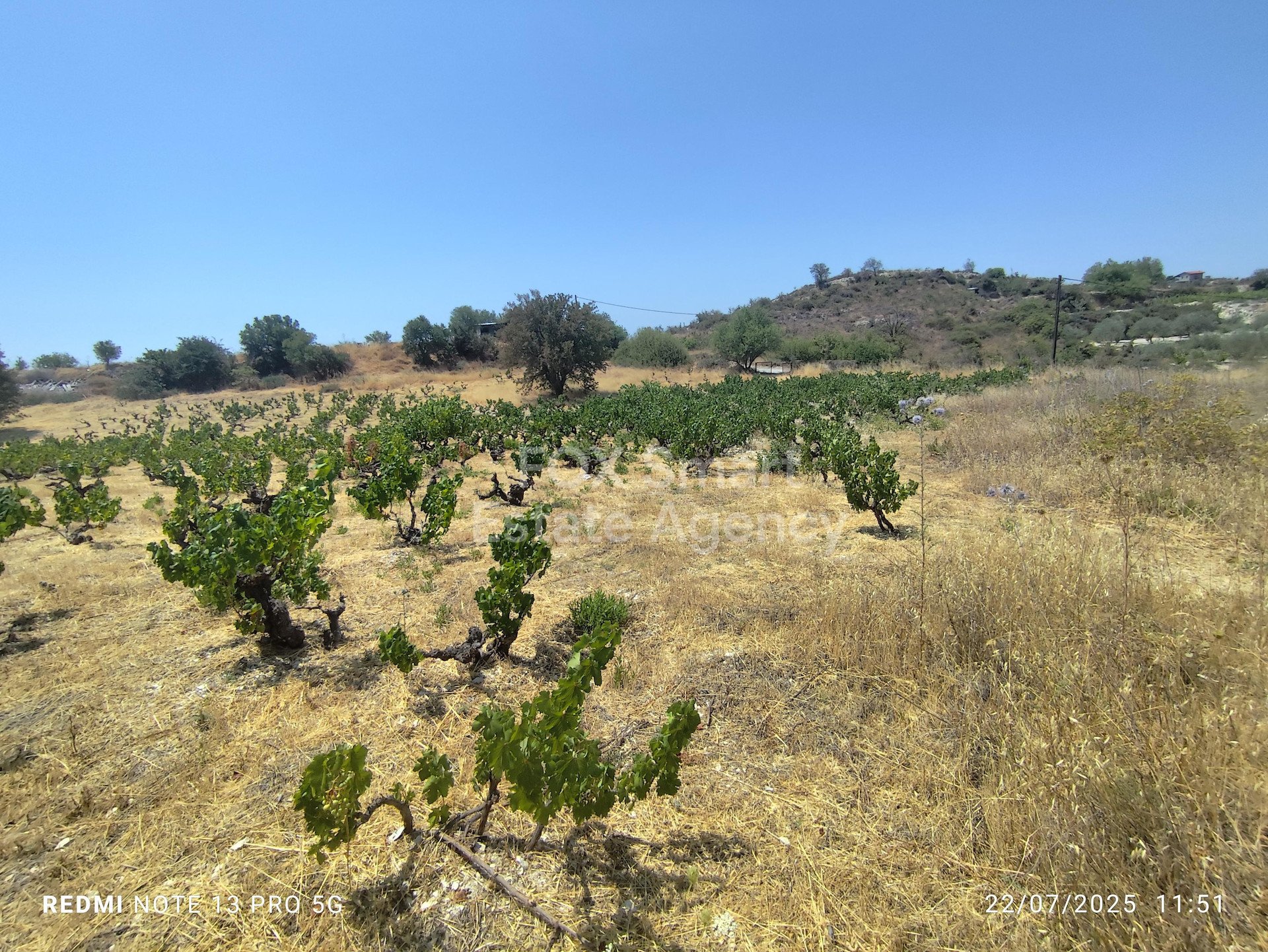 Land in Agros - view 1