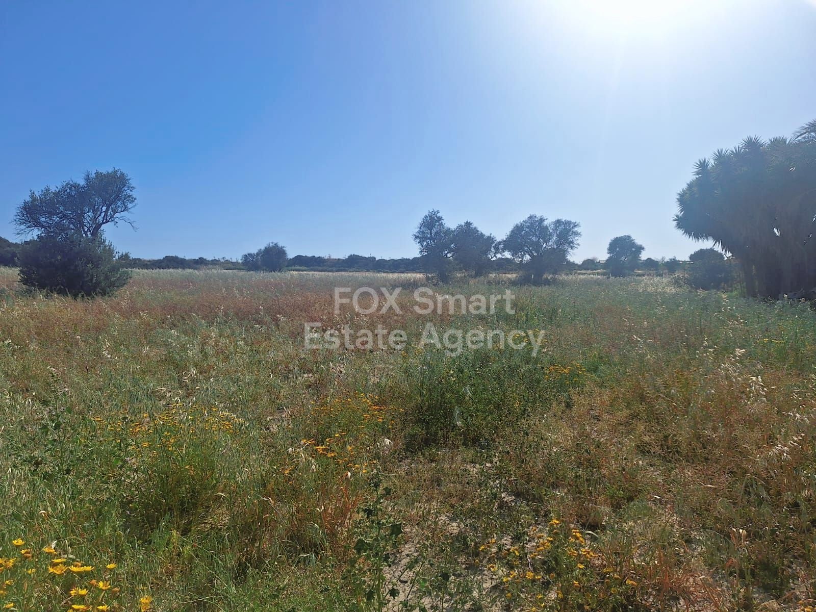 Land in Limassol - view 1