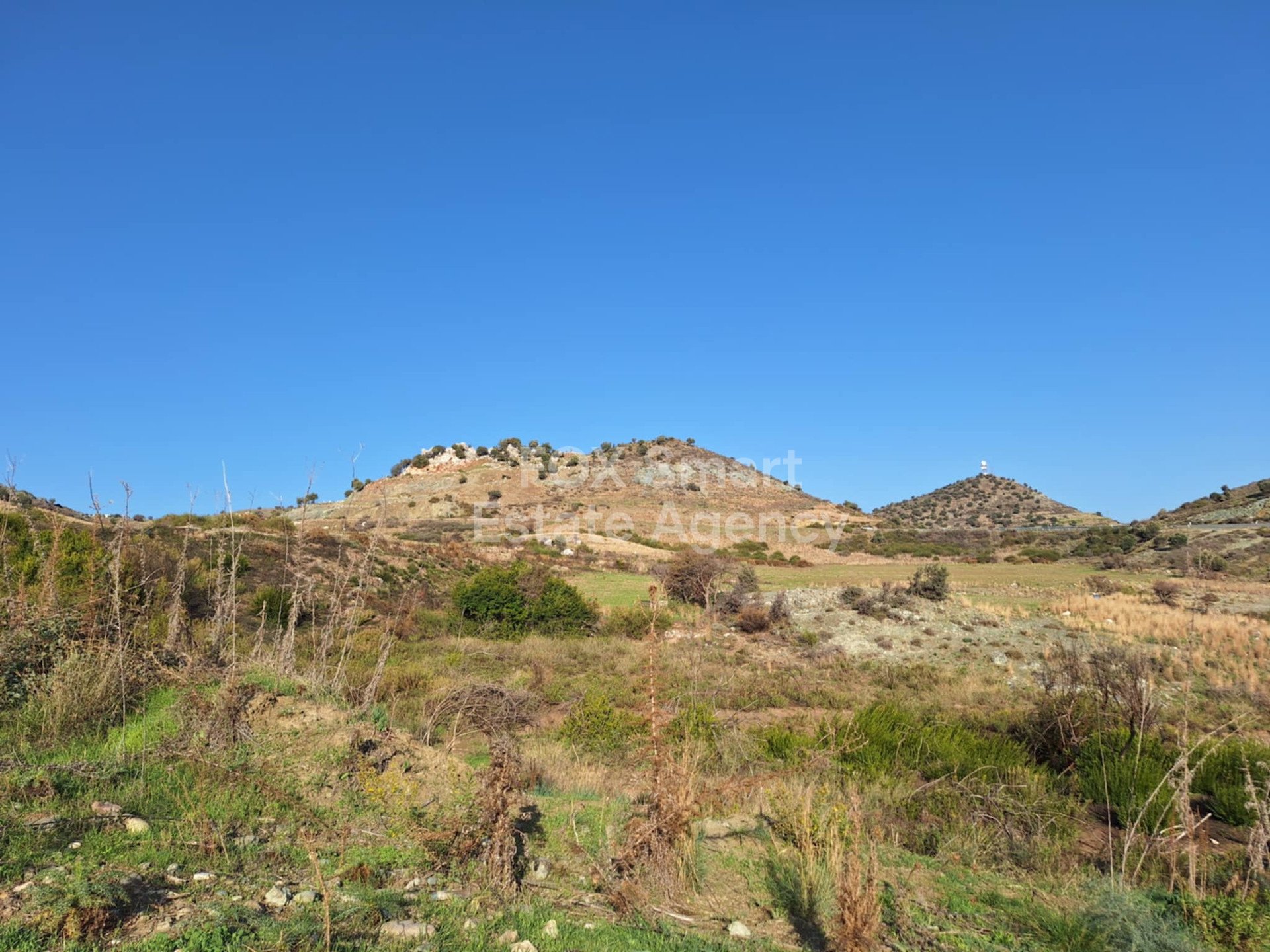 Land in Anarita - Image 5