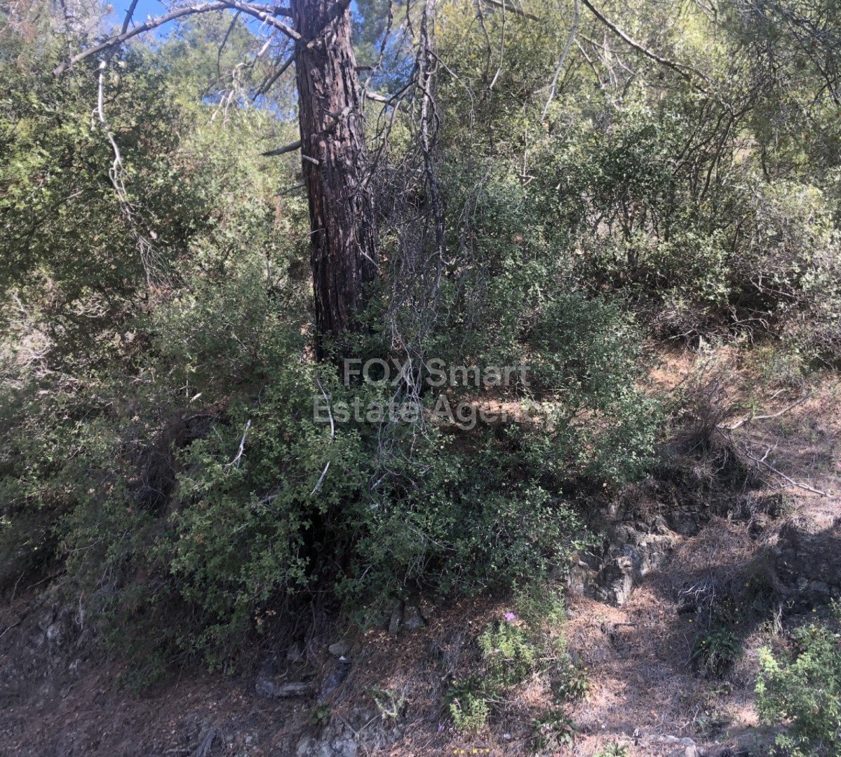 Land in Pera Pedi - view 1