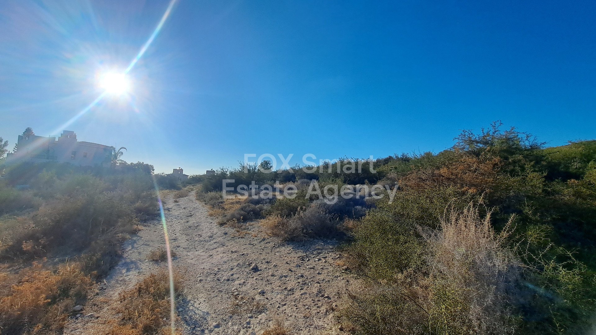 House in Pegeia - Image 4