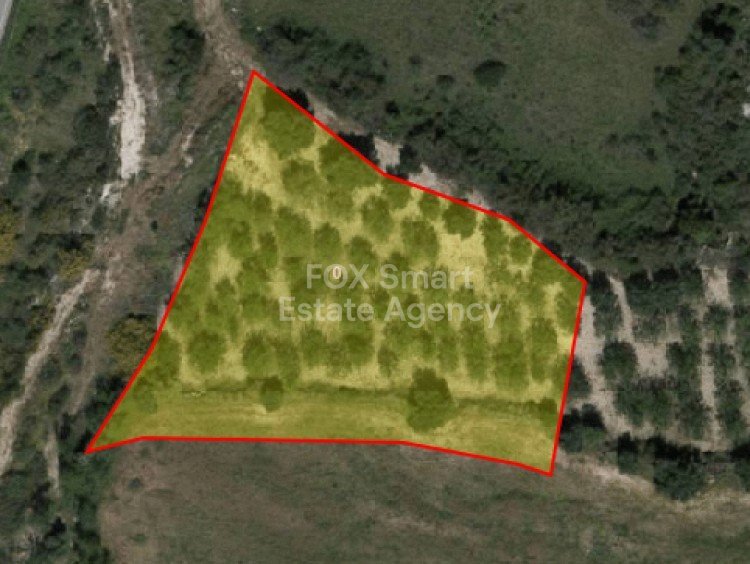 Land in Drouseia - view 1