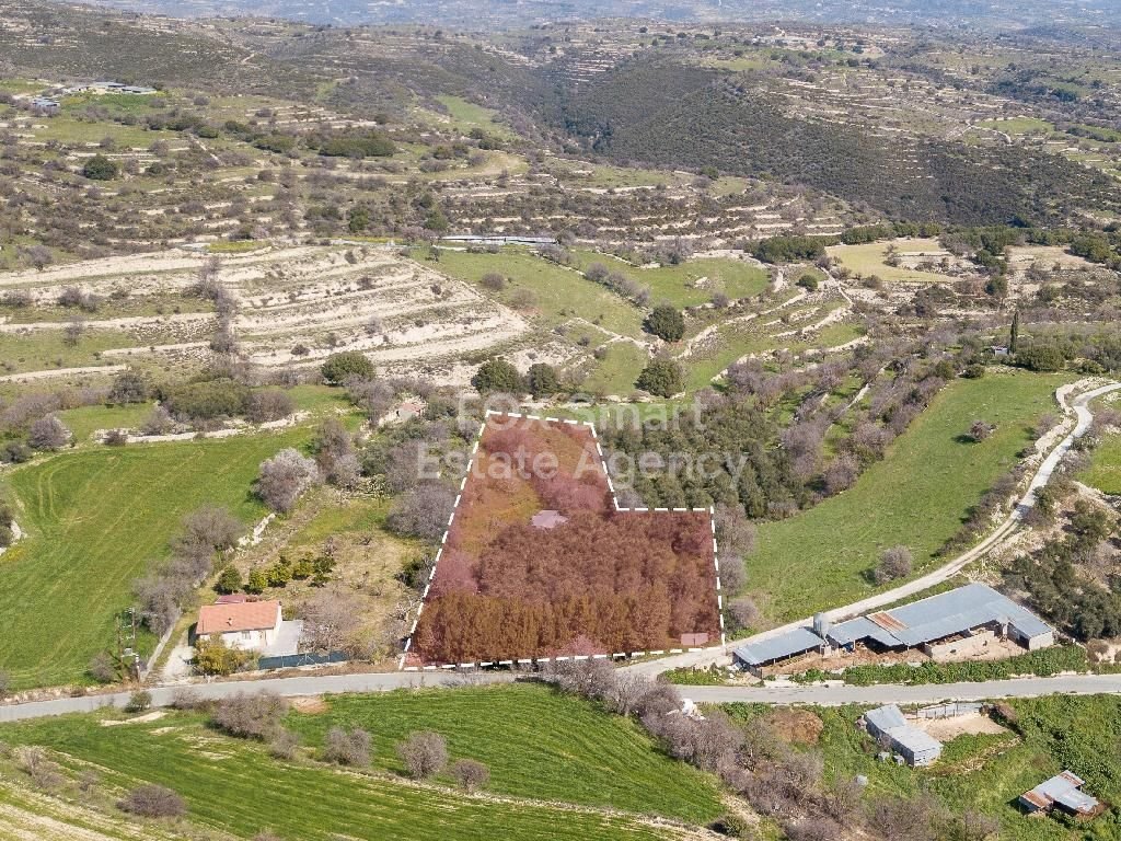 Land in Dora - Image 3