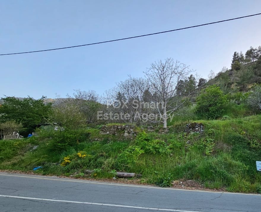 Land in Kakopetria - Image 3