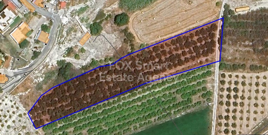 Land in Nikokleia - view 1