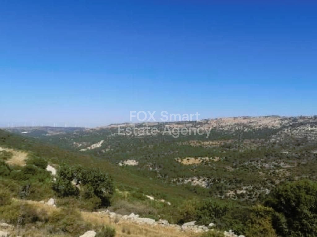 Land in Dora - view 1