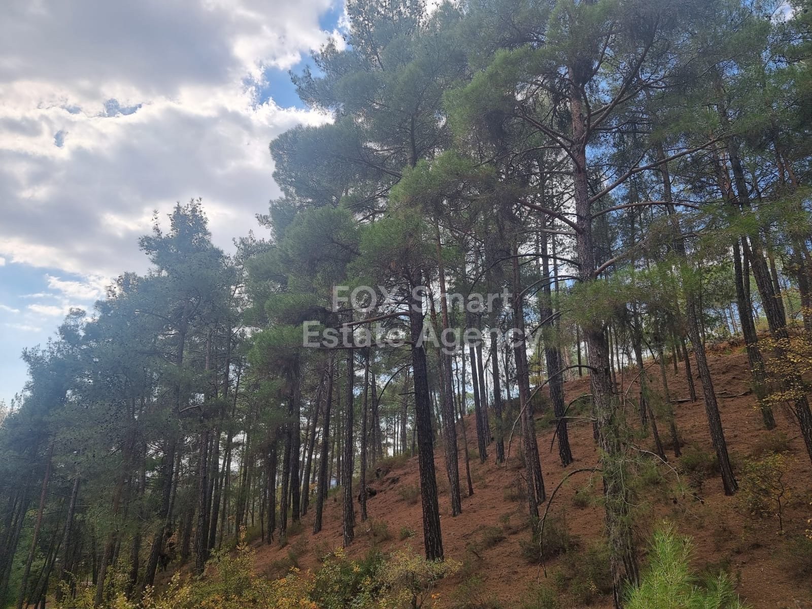 Land in Pano Platres - Image 3