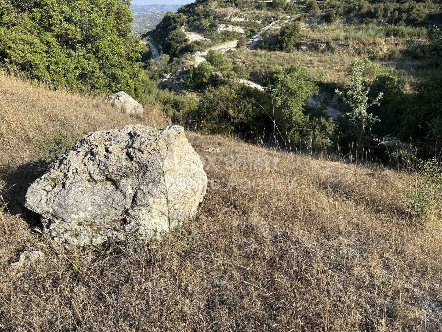 Land in Kallepia - Image 3