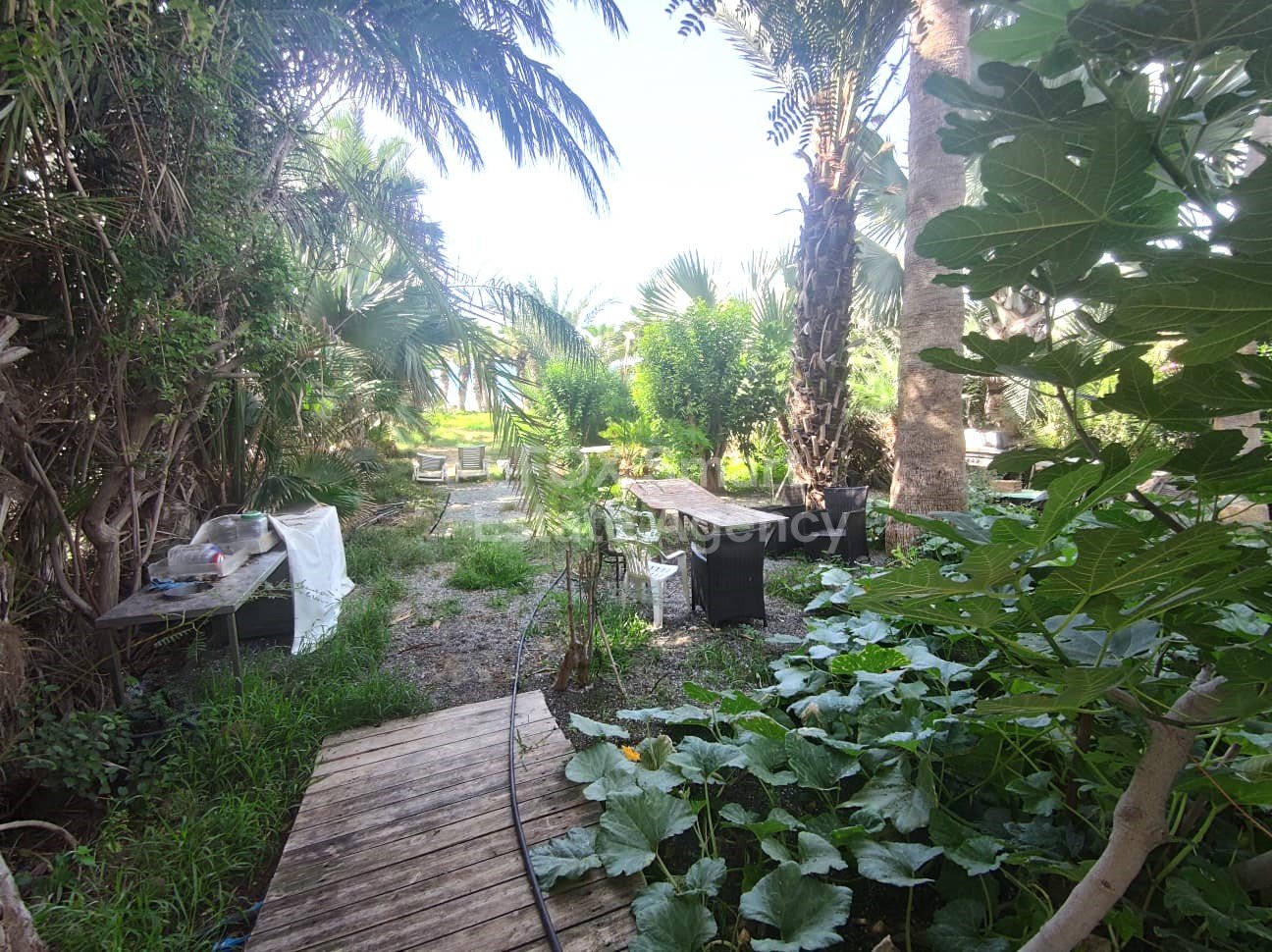 Property 33