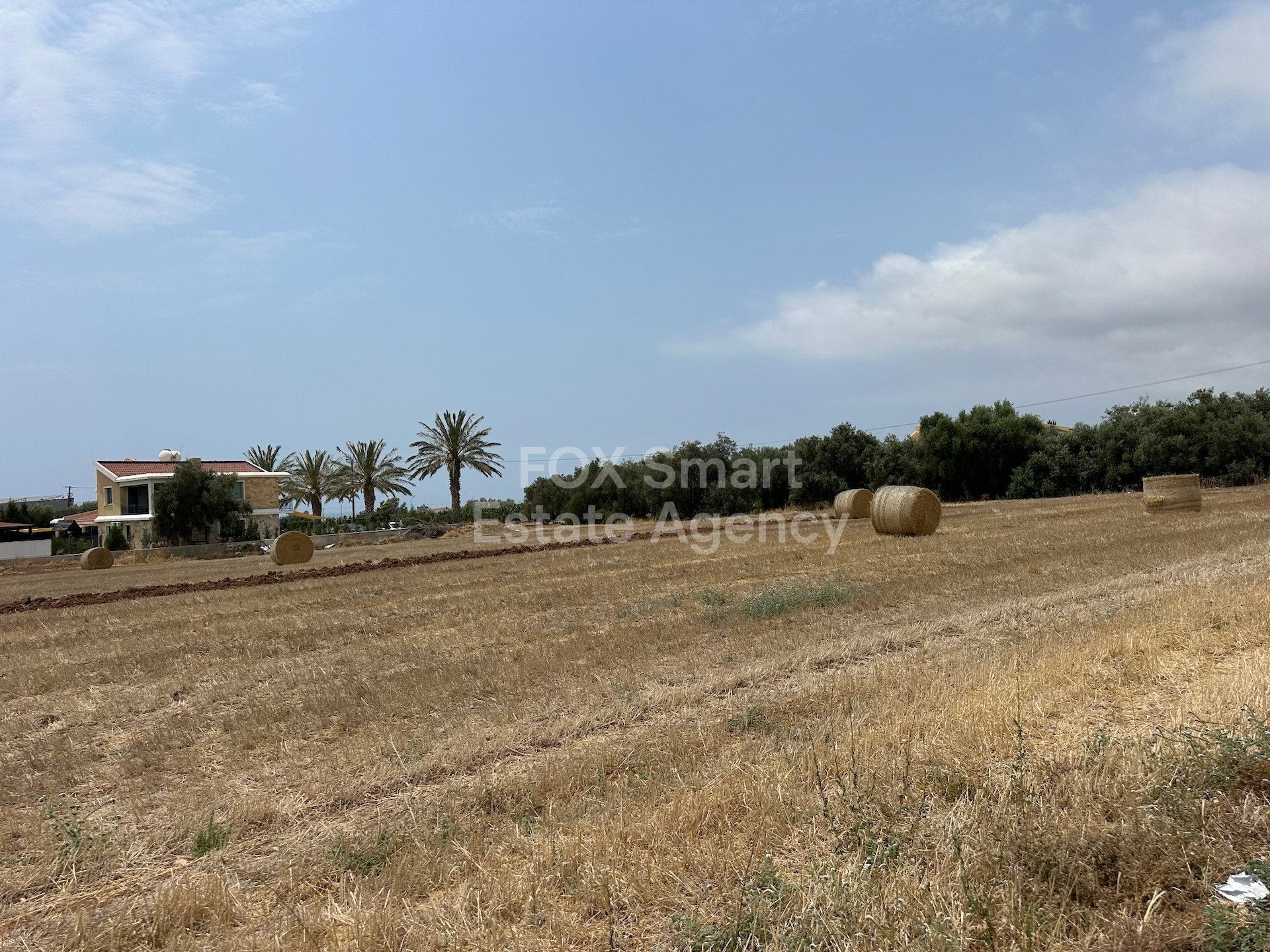 House in Pegeia - view 1