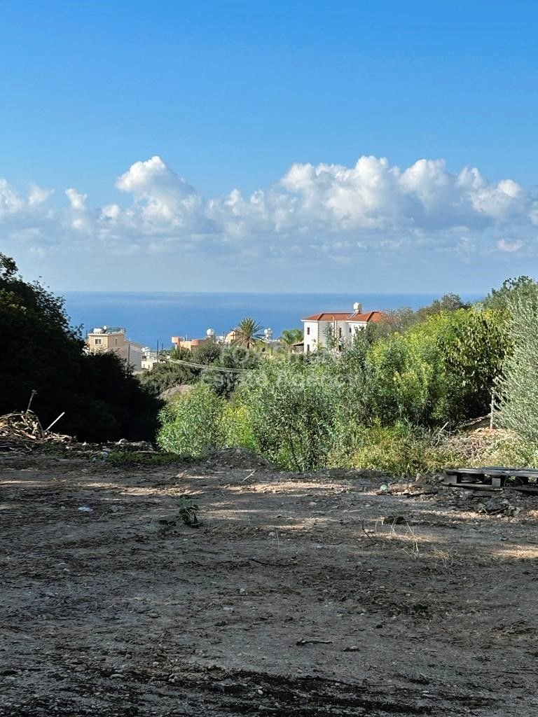 House in Pegeia - Image 4