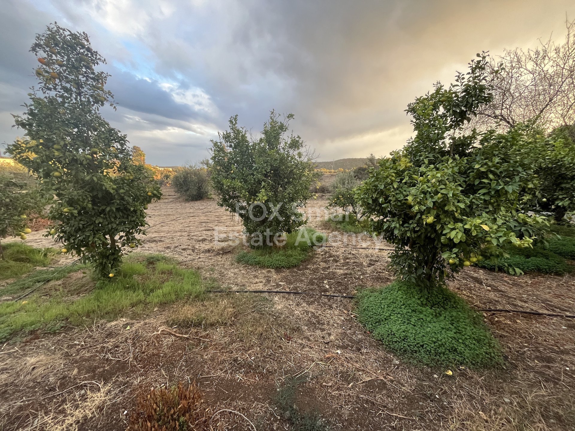 House, For Rent, Limassol, Pyrgos