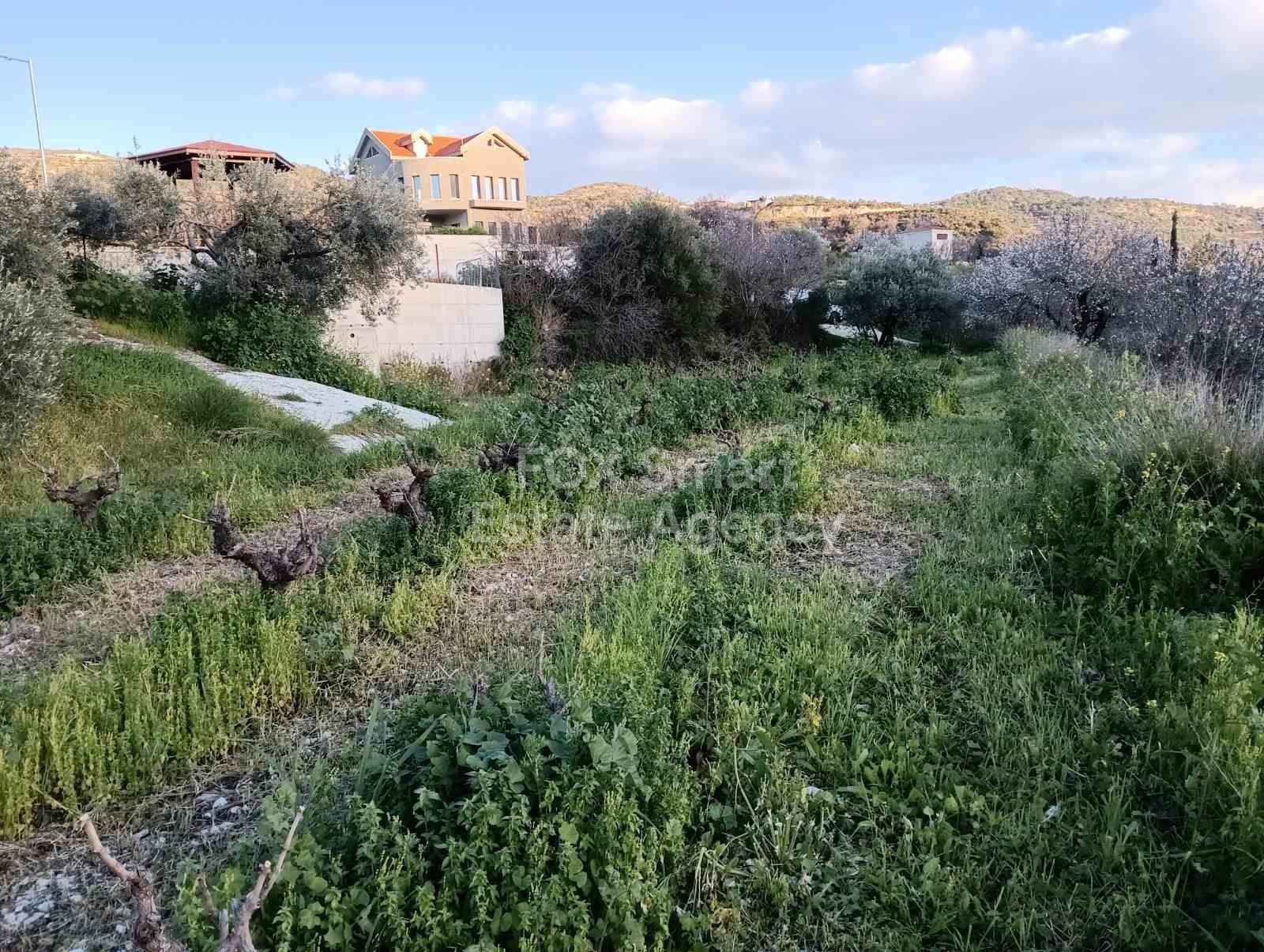 Land in Agios Theodoros - Image 2