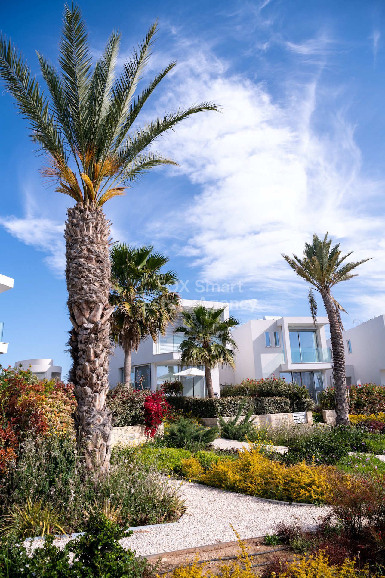 House, For Sale, Paphos, Pegeia