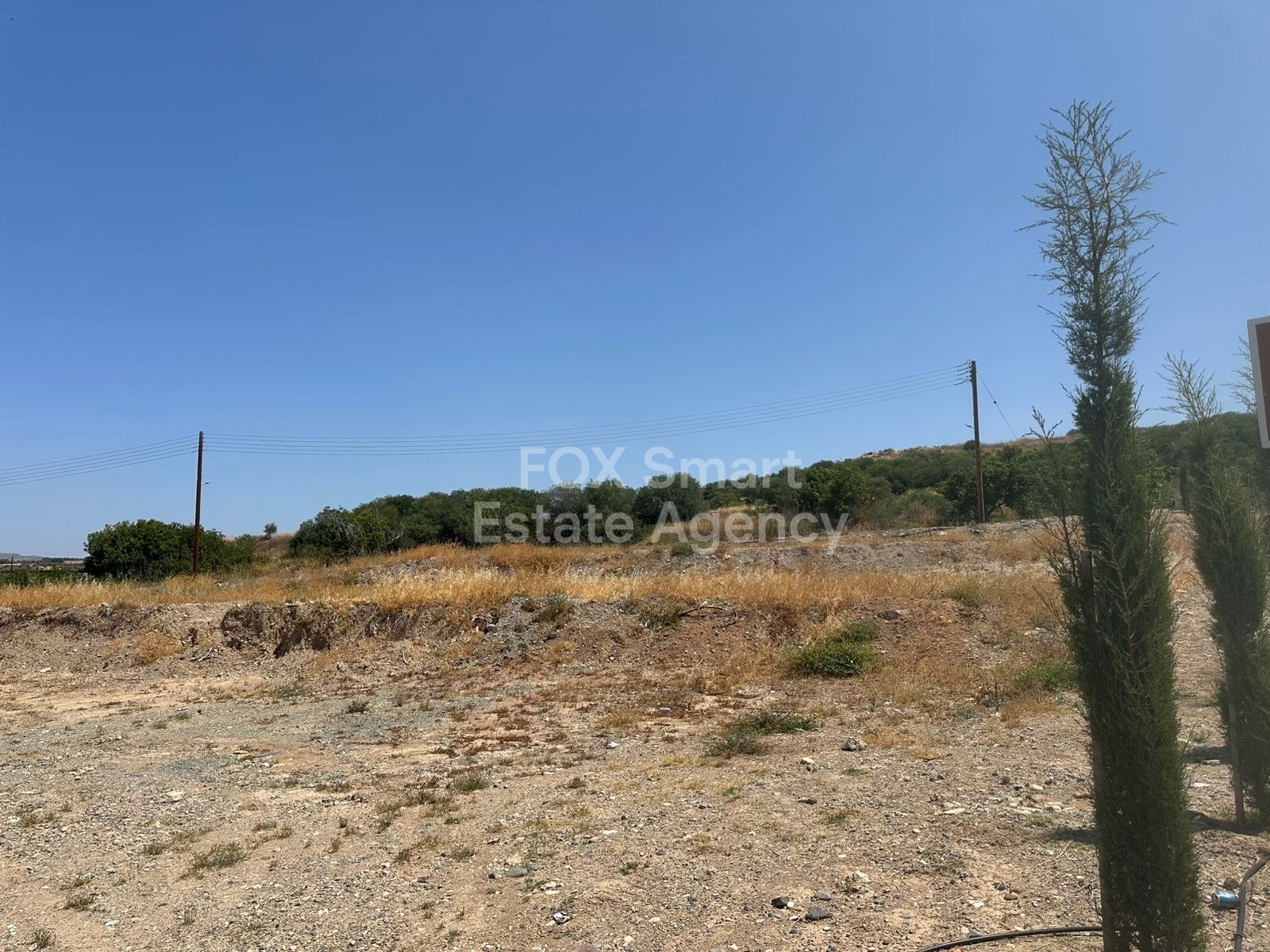 Land in Kouklia - Image 3