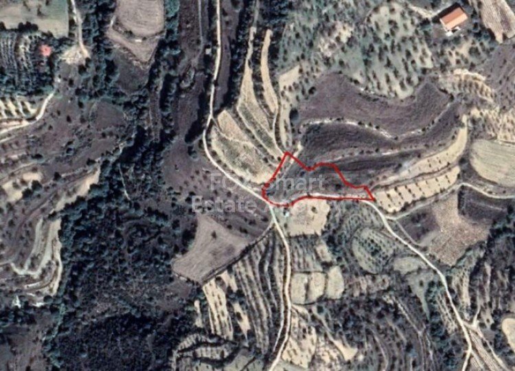 Land in Kallepia - view 1