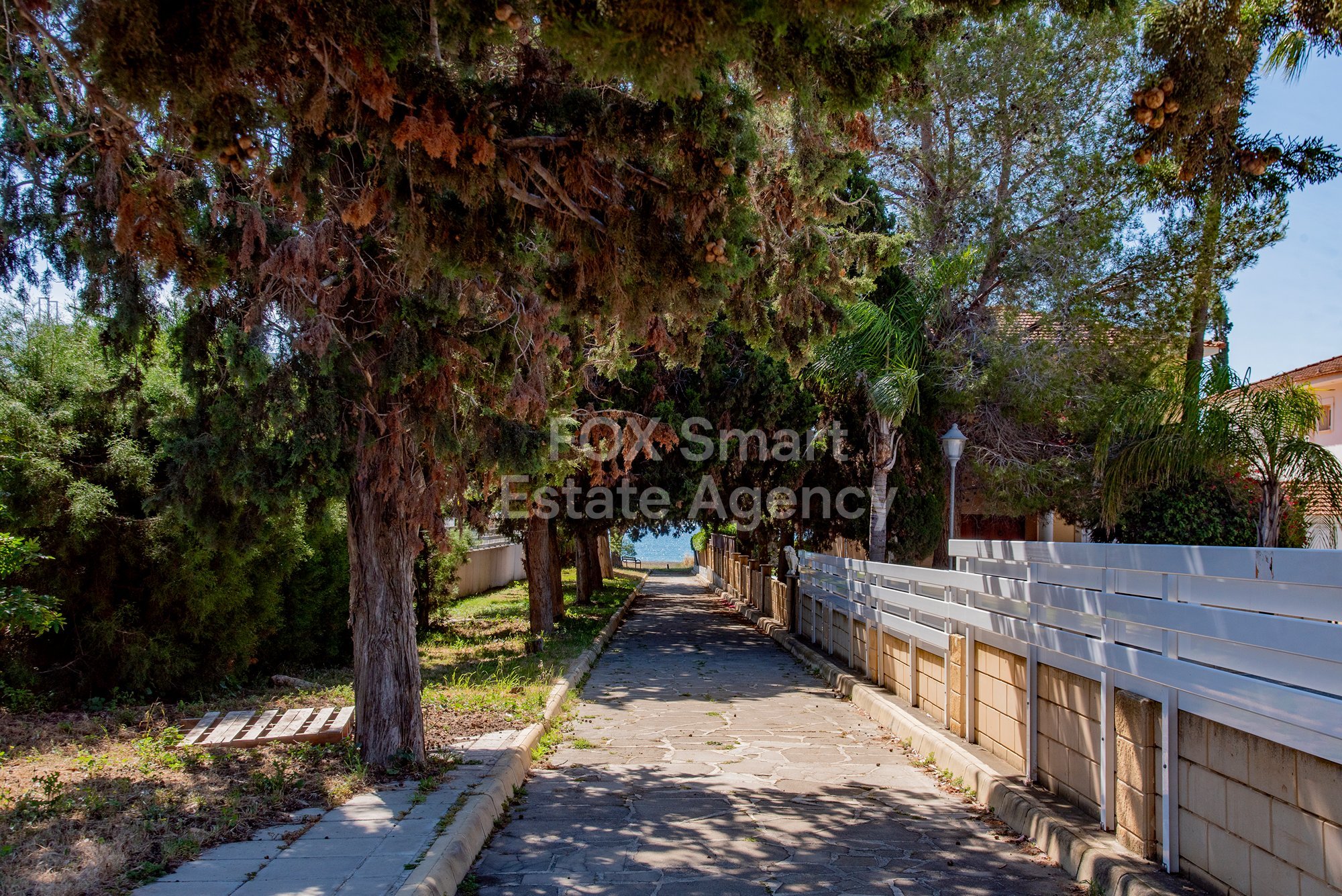 Property 29