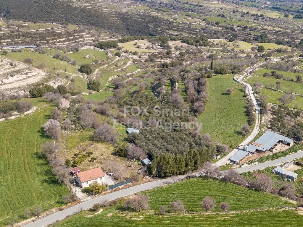 Land in Dora - Image 4