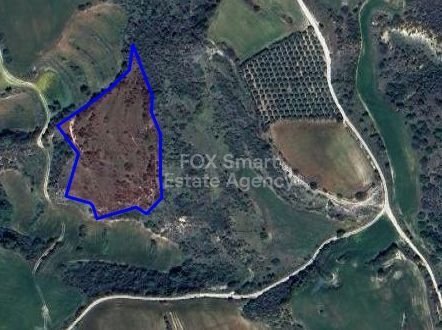 Land in Pano Akourdaleia - view 1