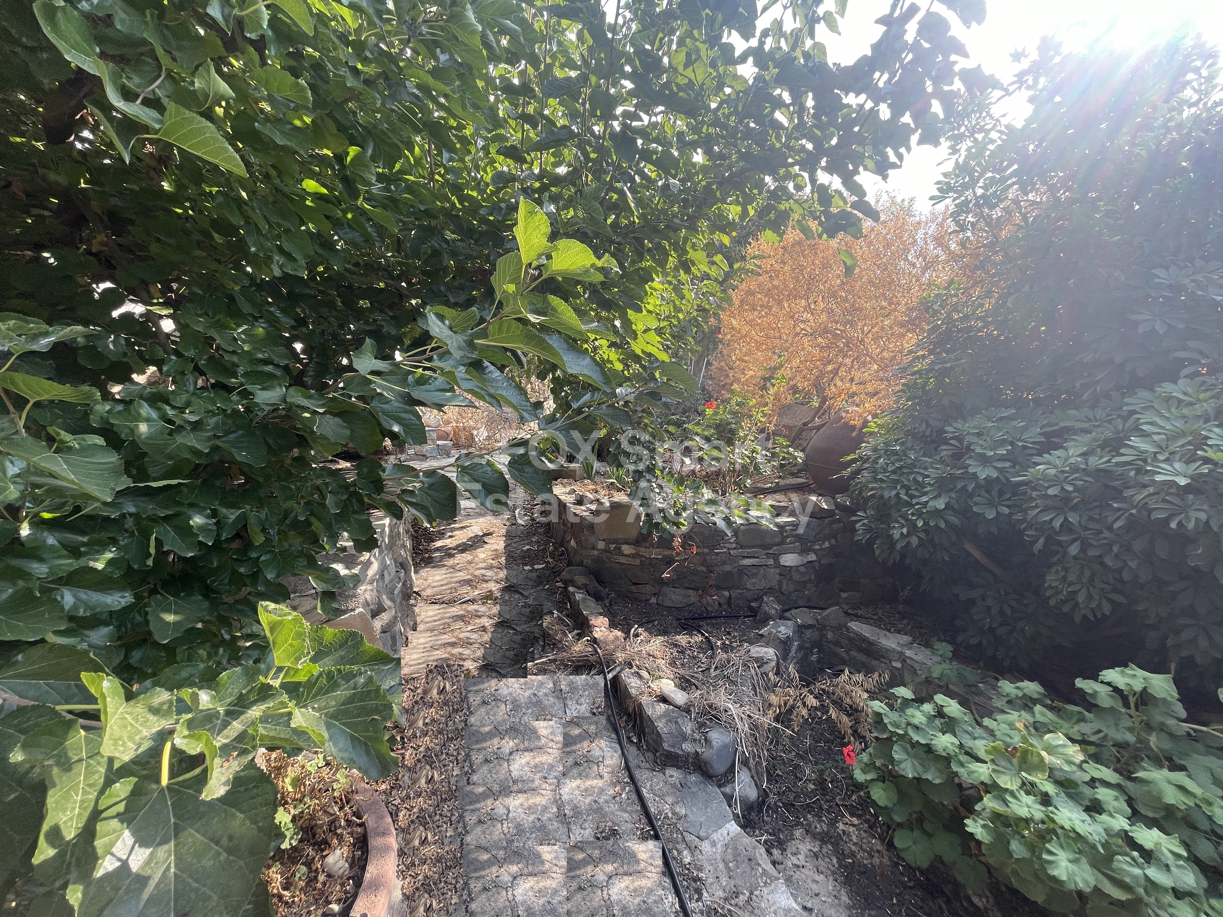 Traditional Cypriot House for Sale in Kapedes Village