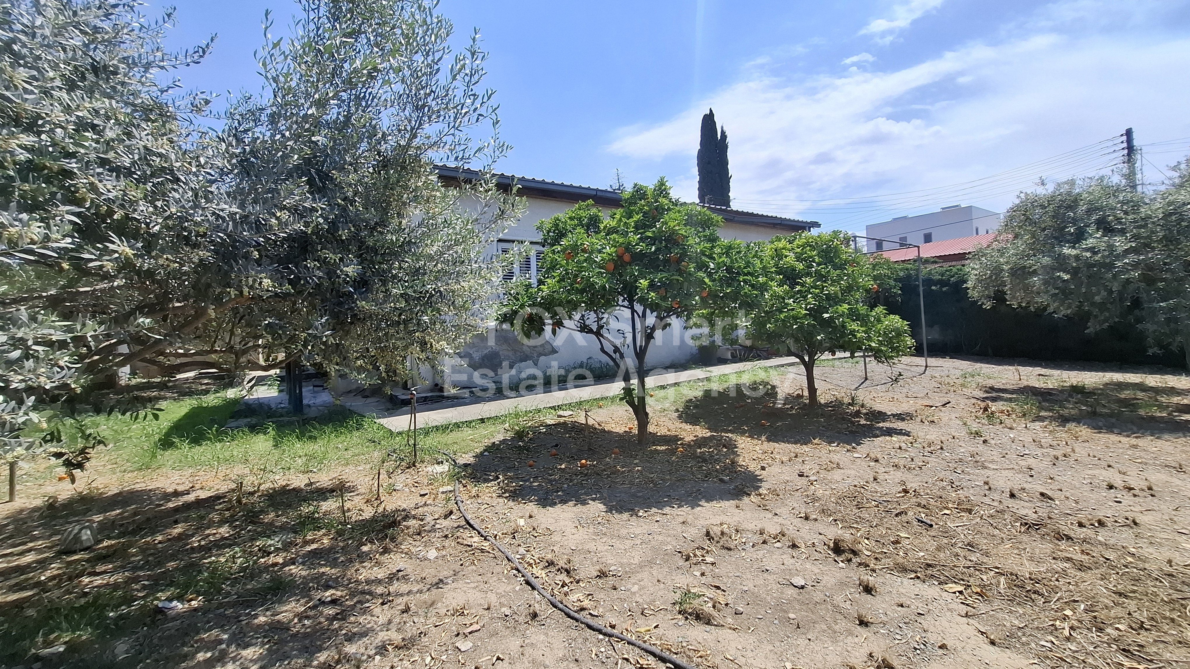 Land in Chryseleousa - view 1