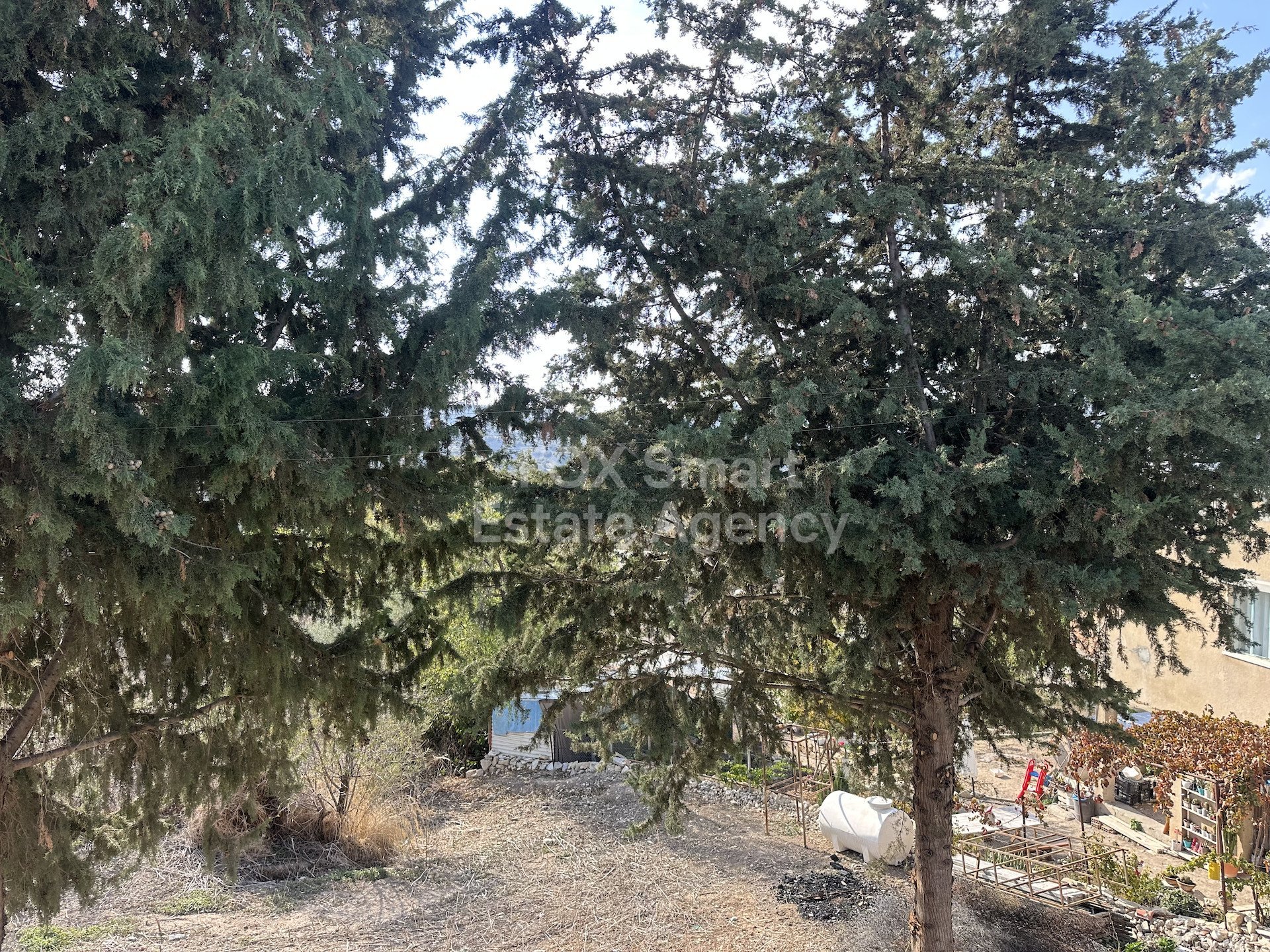 House, For Rent, Paphos, Amargeti