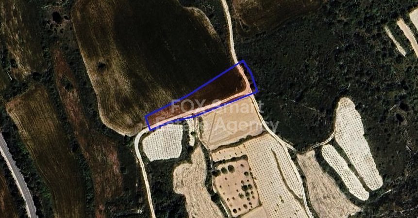 Land in Kathikas - view 1