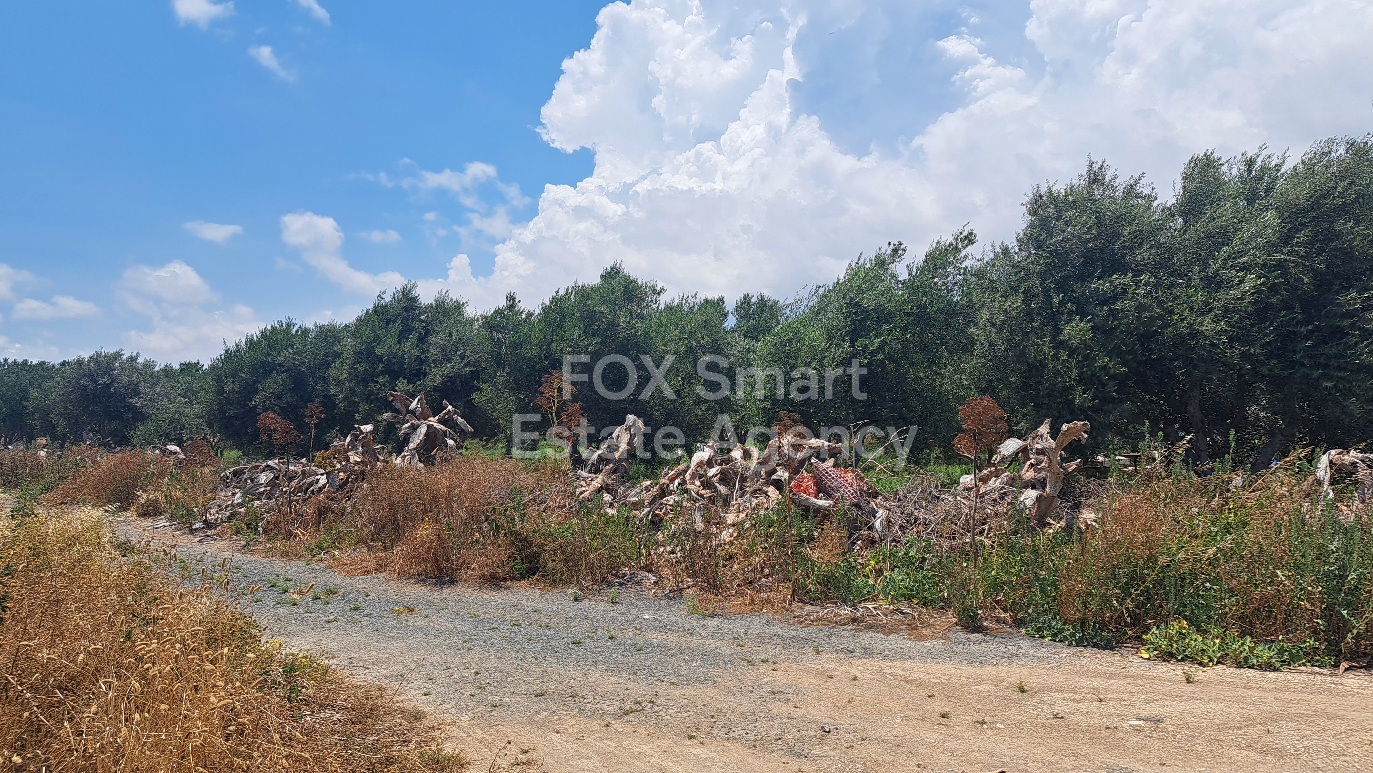 Γη, Πώληση, Larnaca, Kiti