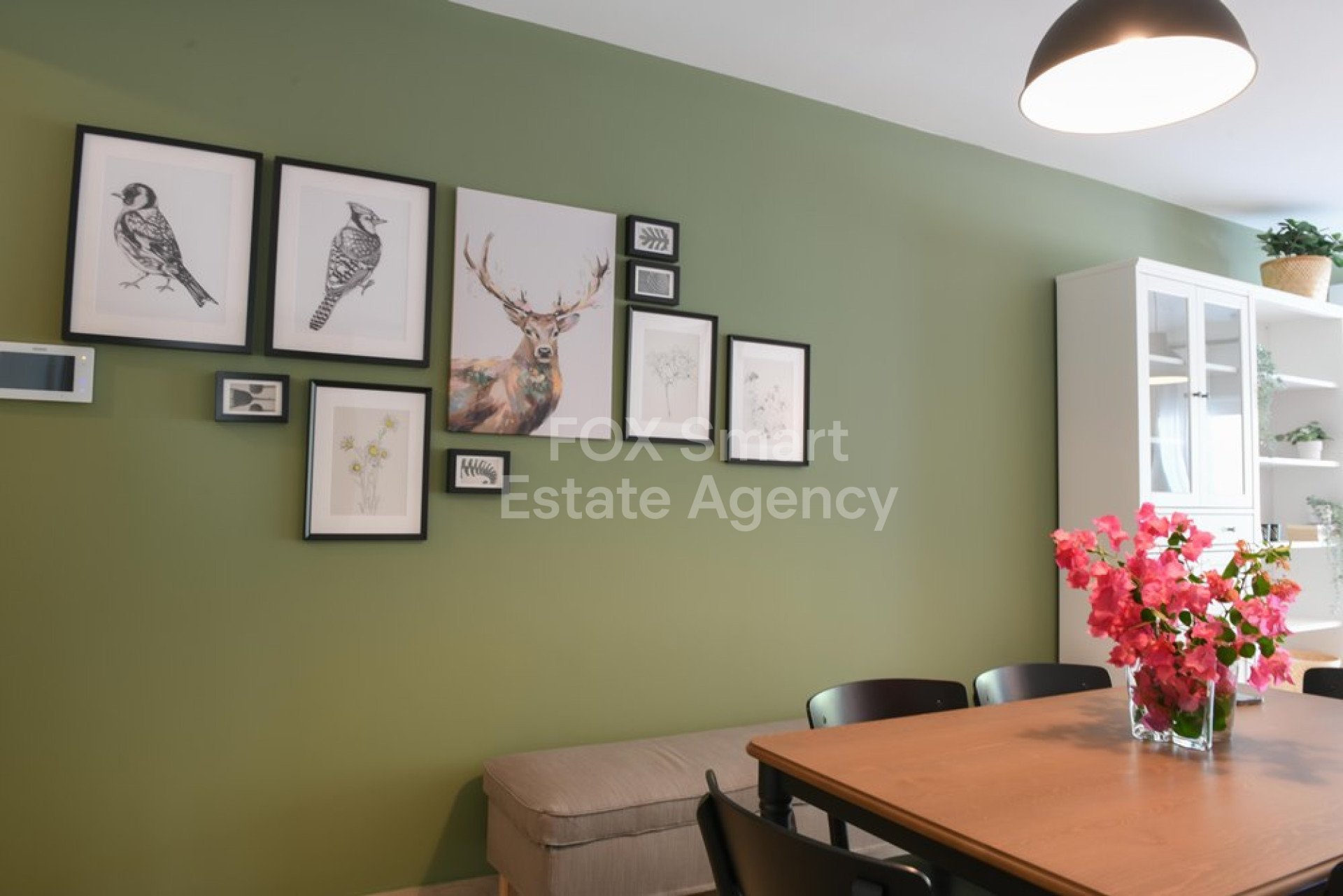 Apartment, For Rent, Nicosia, Agioi Omologites