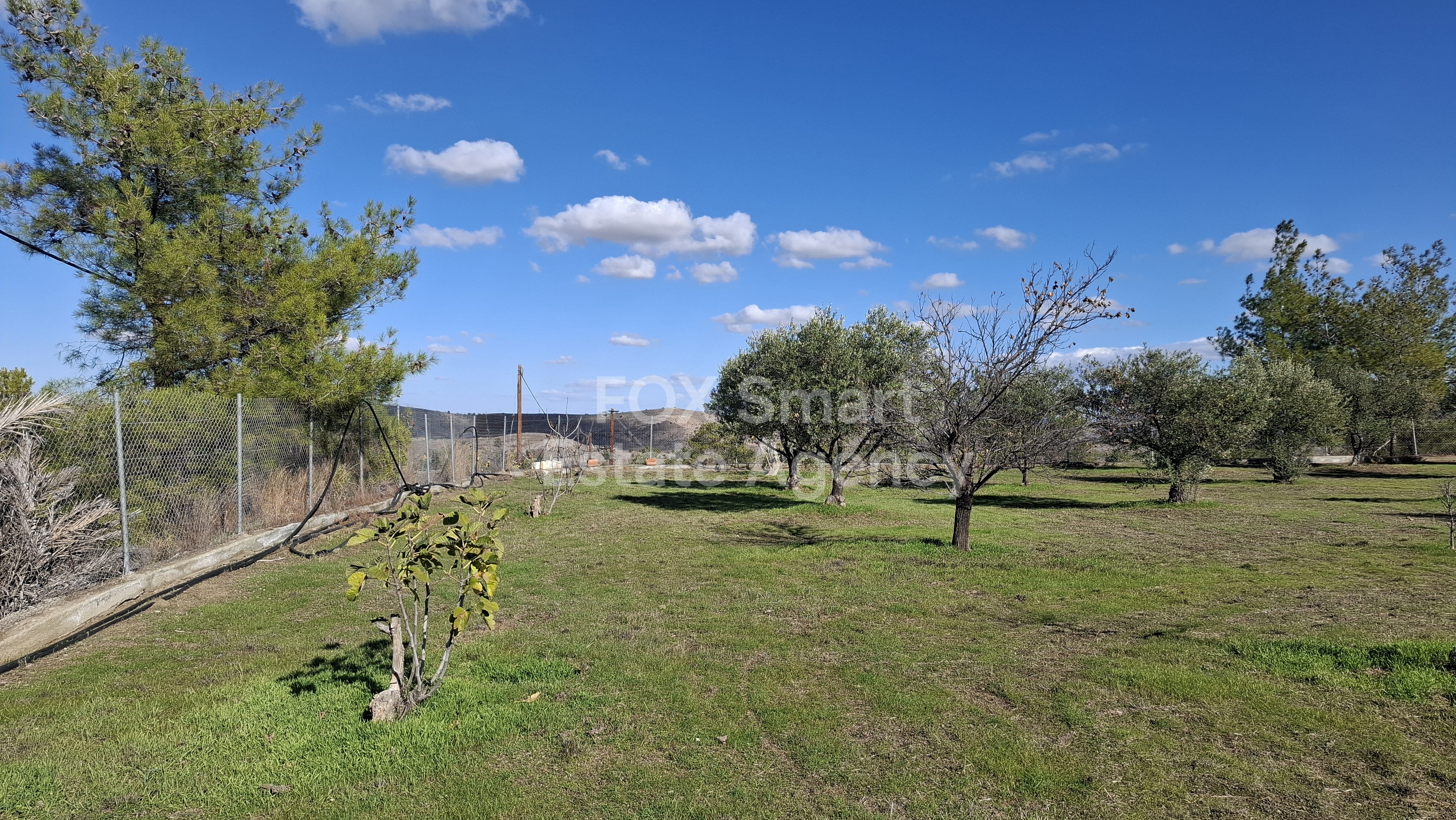 Property 36