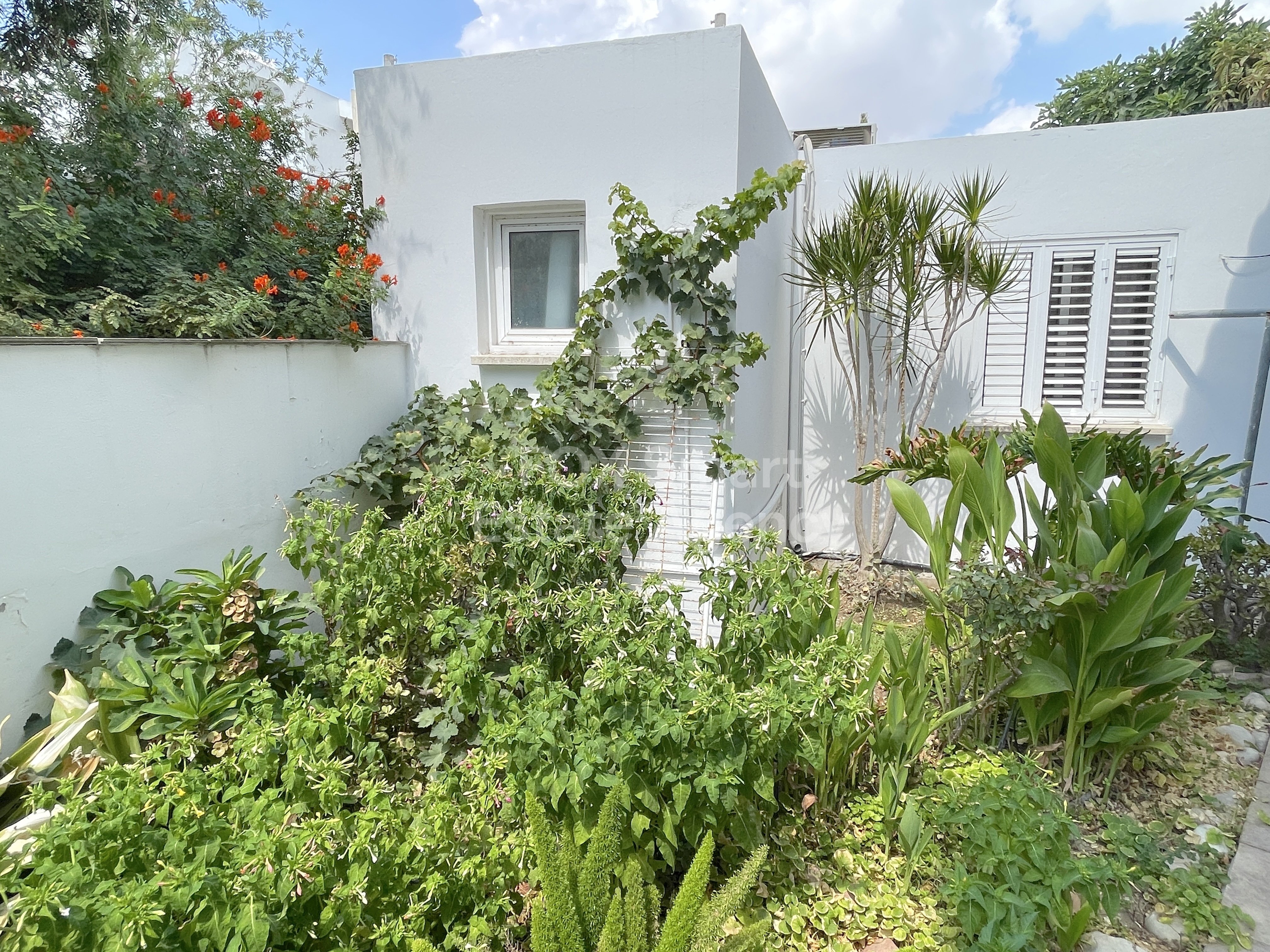 Timeless Elegance in Platy Aglantzias area: Your Dream Home with big yard Awaits