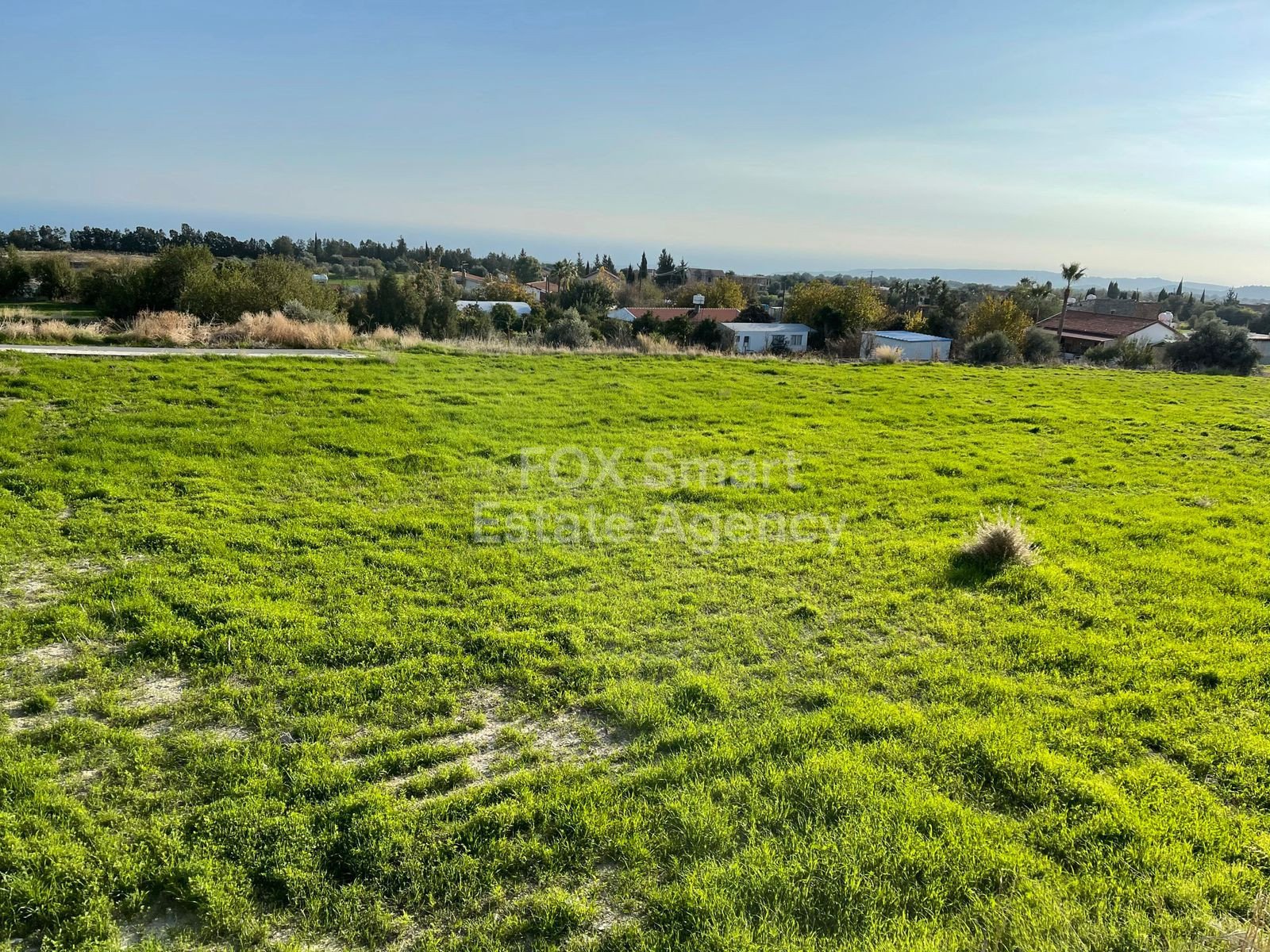 Land in Anogyra - Image 3