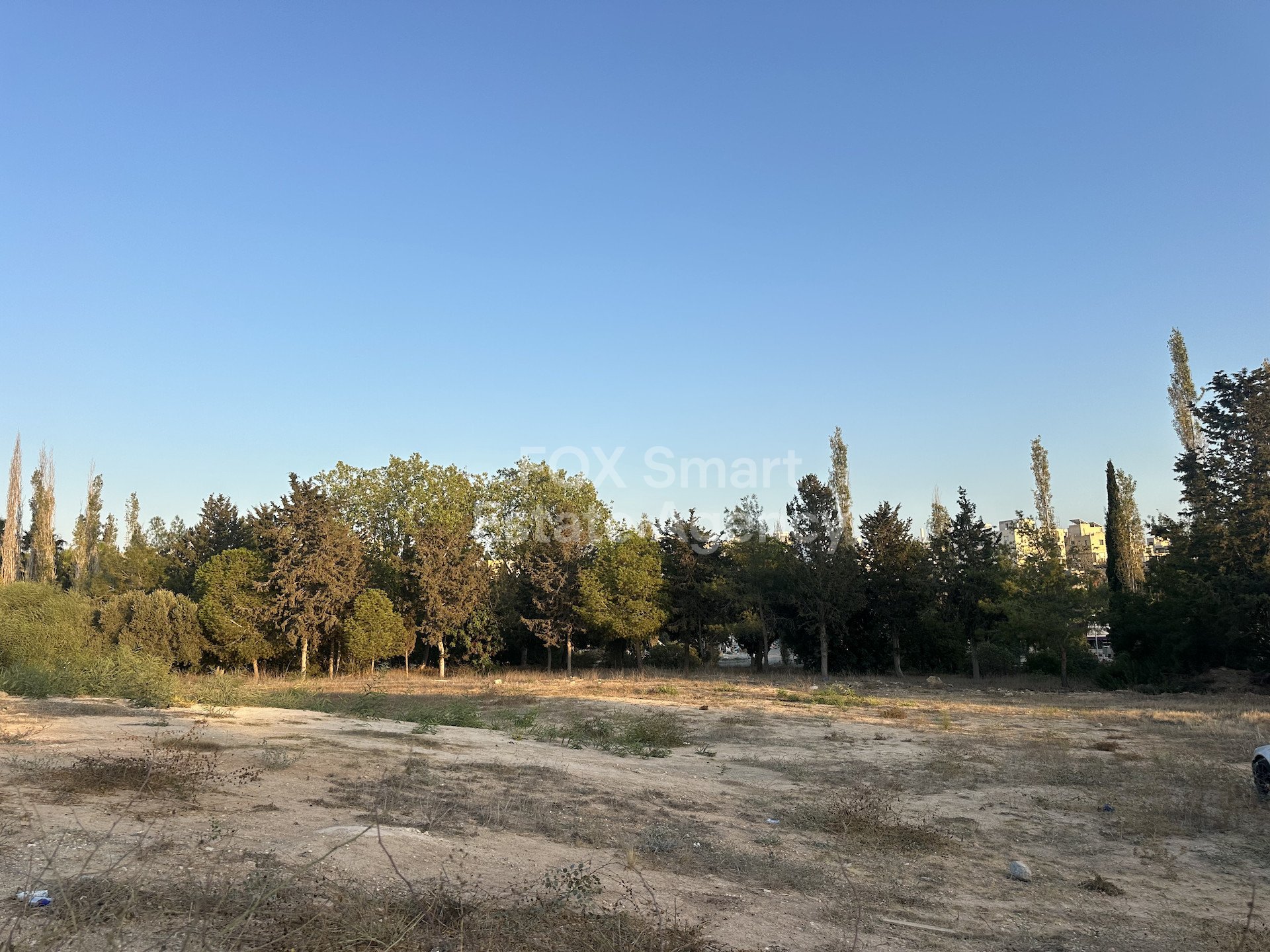 Land in Chlorakas - view 1