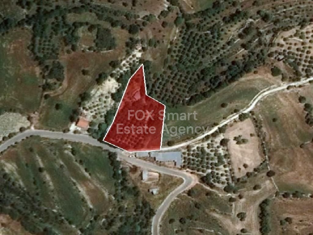 Land in Dora - Image 2