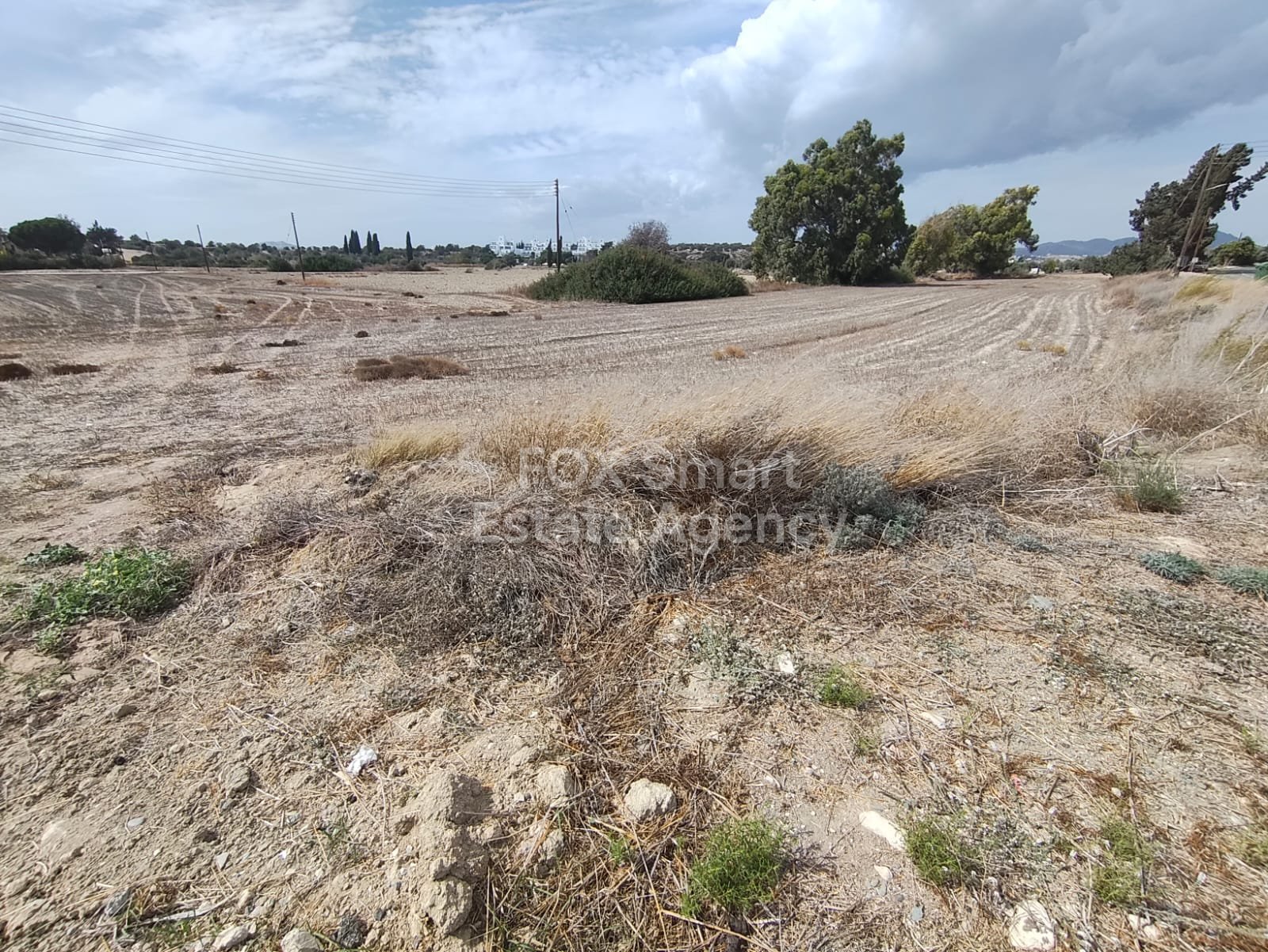 Property 4