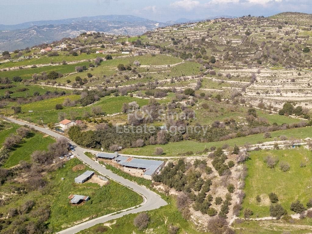 Land in Dora - Image 5