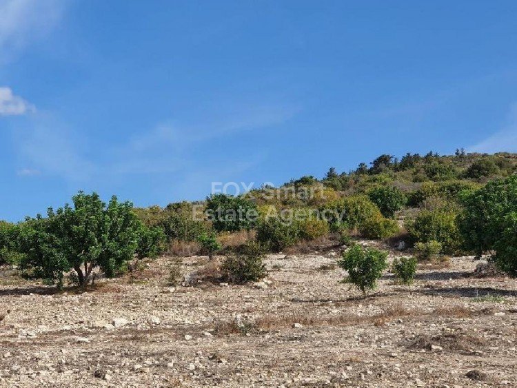 Land in Koili - view 1