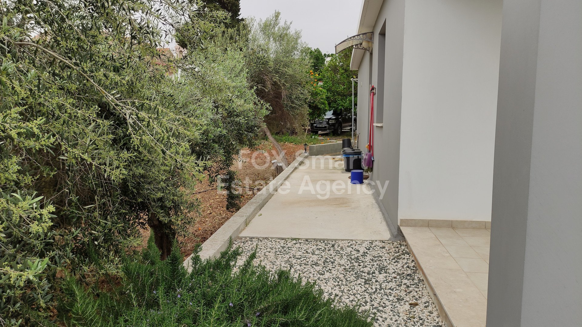 House, For Rent, Paphos, Mesa Chorio