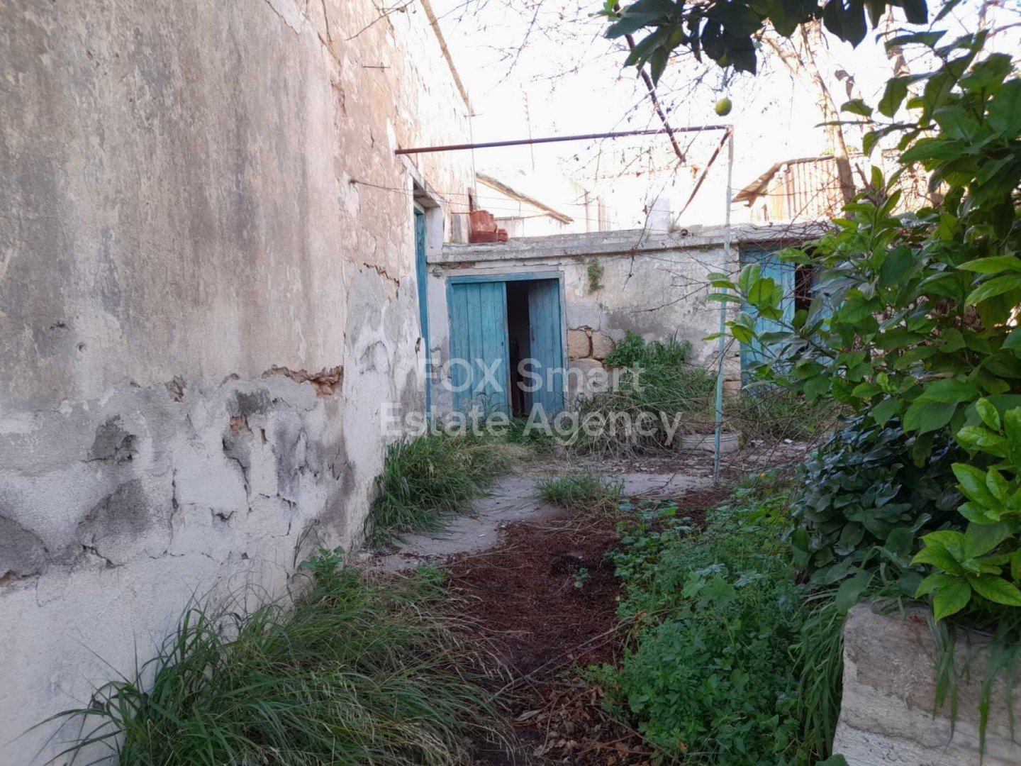 House in Pegeia - Image 2