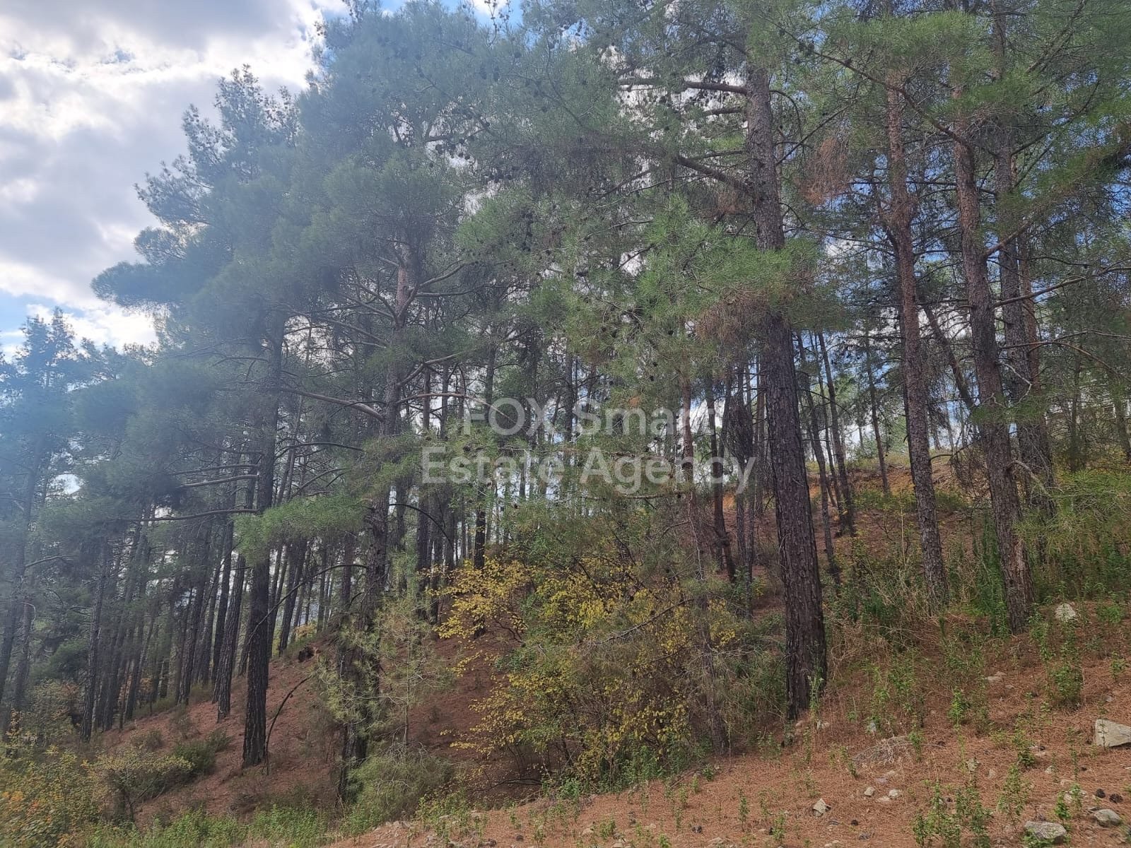 Land in Pano Platres