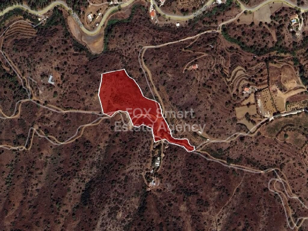 Land in Kalo Chorio (Oreinis) - view 1